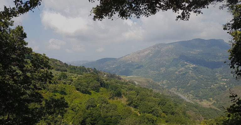 panoramadark
