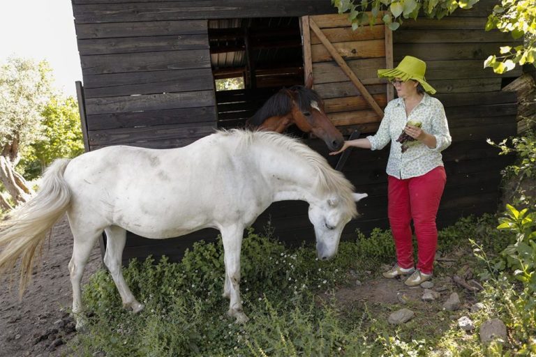 camera-e-colazione-foto-esterno-07-1024x683