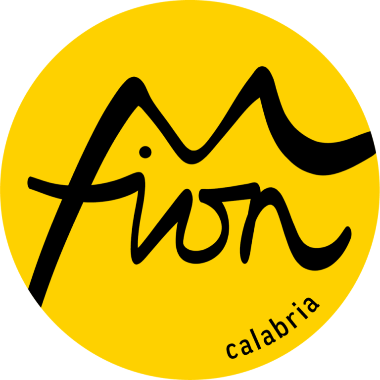 fion_logo