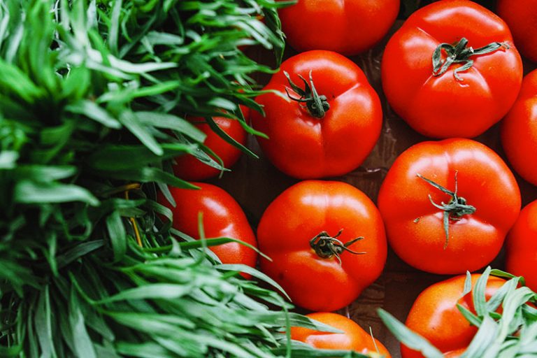 pomodoro